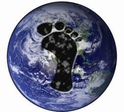 Go Green International Organization's project on calculting carbon footprints - ảnh 1